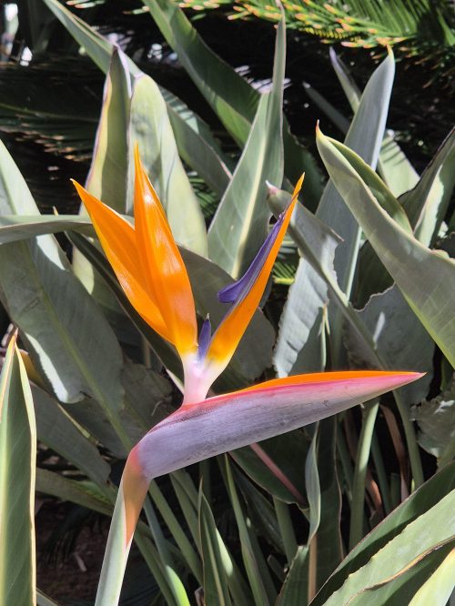 Farbenpracht Farbenpracht