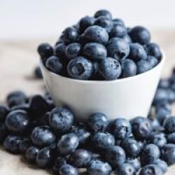 bilberries-2559051_1280